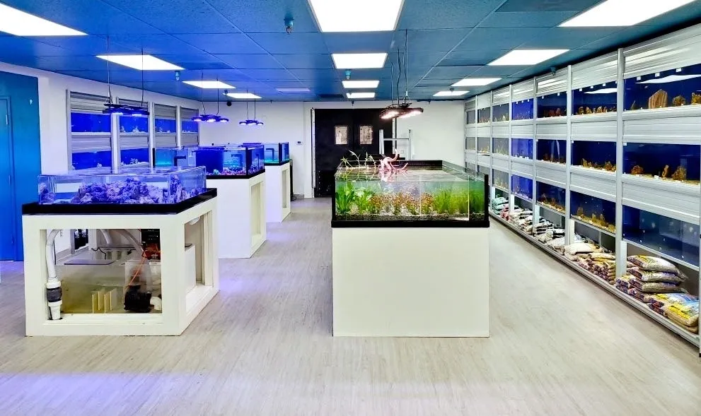 Le Corals