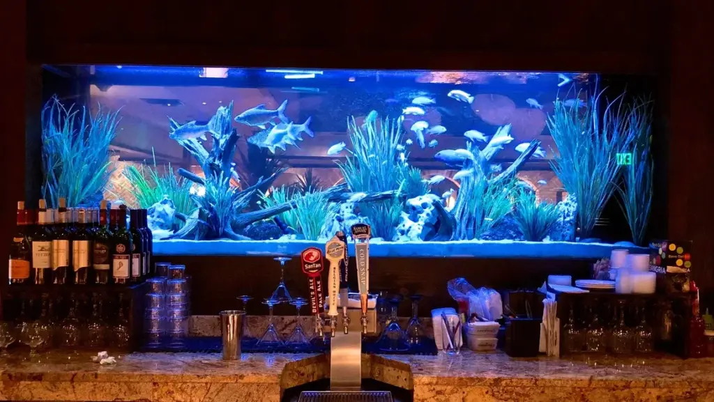 Le Corals