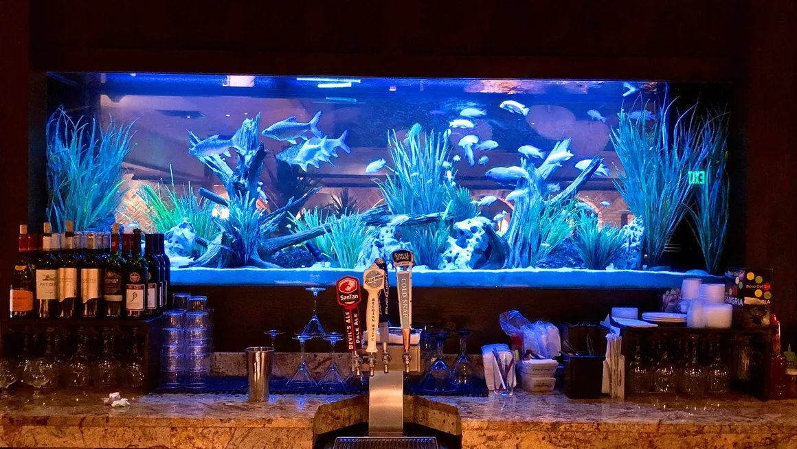Le Corals